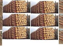 Лес (Кргляк) круглый сосна 3,4.6. метровые