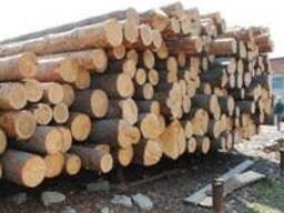 Лес (Кргляк) круглый сосна 3,4.6. метровые