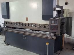 Листогиб Китай