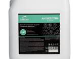 Luscan Professional NG Quat Dez – дезинфицирующее средство на основе ЧАС для рук и поверхн - fotosurat 2