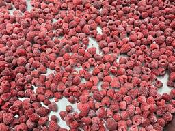 Малина быстрозамороженная