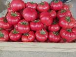 Mamston tomat urugi - photo 4