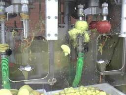 Машина для очистки, нарезания, удаления сердцевины яблок 300-500 кг/час