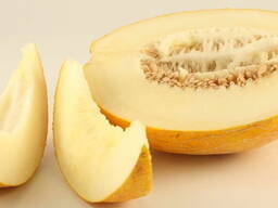 Melon
