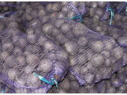 Men Qozog'istonda piyozni ulgurji sotaman