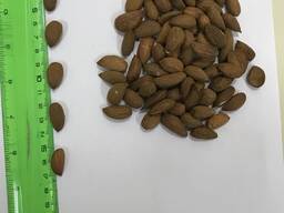 Миндаль очищенный