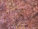 Мрамор Cherry Gold, Cherry - fotosurat 2