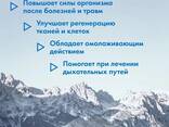 Мумие горный очищенный - 100% натуральный - фото 2