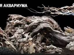 Натуральные декорации для аквариума