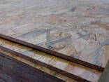 OSB - фото 3