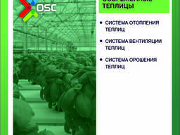 OSC Royal Greenhouses - Строительство Европейских теплиц