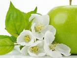 Отдушки из Турции. - fotosurat 1