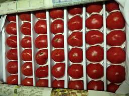 Овощи, Помидоры