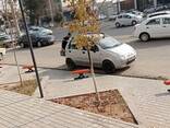 Парковочный блокиратор - фото 3