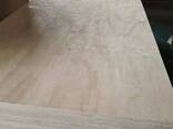 Pine plywood：（сосновая фанера） - фото 2