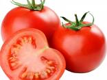 Pomidor - fotosurat 2