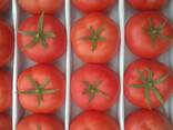Помидор розовая - fotosurat 1