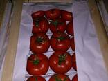 Помидоры сорта Аламия - fotosurat 3