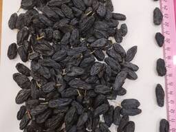 Поставка, экспорт сухофруктов из Узбекистана (Изюм черный гибрид)