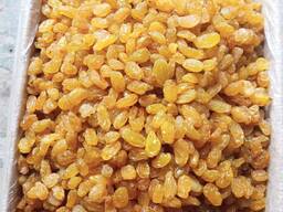 Поставка, экспорт сухофруктов из Узбекистана (Изюм голден)