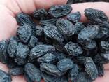 Поставка, экспорт сухофруктов из Узбекистана (Изюм сояки) - фото 3