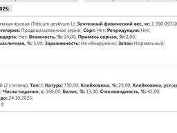 Продаем пшеницу 3,4,5 класс