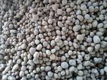 Продам картошку и морковь - fotosurat 1