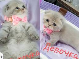 Alena Vodonaeva porno Erotik Kurgan