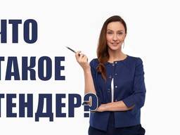 Профессиональный Перевод