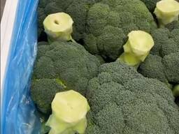 Прямые продажи свежая брокколи (со льдом) от производителя с доставкой. высший сорт 2025