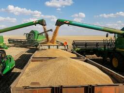 Пшеница, лен, подсолнечник, ячмень