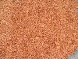 ПШЕНИЦА. ЛЁН. САФЛОР. ЯЧМЕНЬ. ИТД