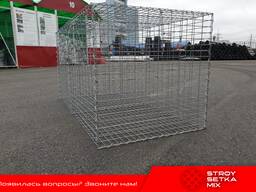 Qush setka tosh setka gapion setkalar