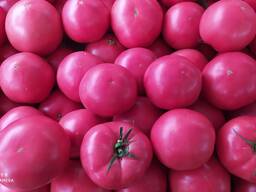 Розовый помидоры