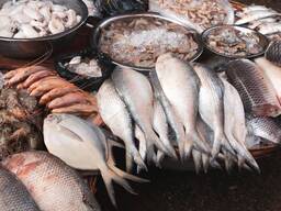 Рыба и морепродукты из Бенгальского залива