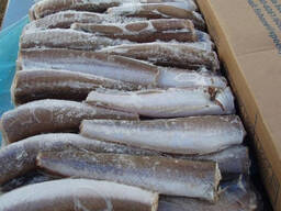 Сельдь Скумбрия Ставрида Хек ТОЛЬКО ОПТ!