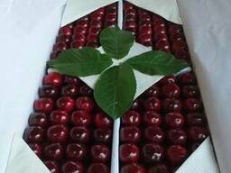 Сельхозпродукты из солнечного Узбекистана