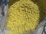 Сера комовая гранула экспорт / Sulphur lump Granule export - фото 2