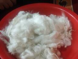 Шерсть ангорского кролика