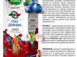 Сироп Черника Глаз Дракона очанка и женьшень - fotosurat 3