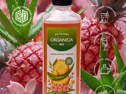 Сиропы, Премиксы, Концентраты, Фруктовые и ягодные основы