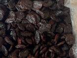 Сухофрукты по оптовым ценам на экспорт - фото 3