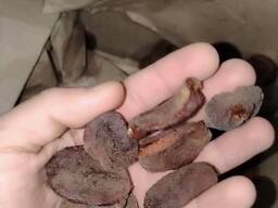 Сушенная слива