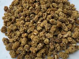 Сушёный тутовник (шелковица)/Dried Mulberries
