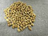 Dried White Mulberry / Сушёная белая шелковица - фото 2