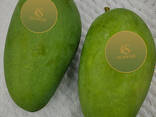 Свежее Манго из Вьетнама - fotosurat 3