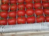 Томаты Pink Paradise - fotosurat 1