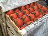 Томаты Pink Paradise - fotosurat 2