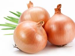 Uzbek Onion