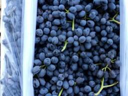 Виноград Кишмиш